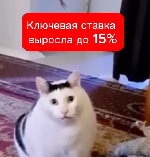 Ключевая ставка выросла до 15%