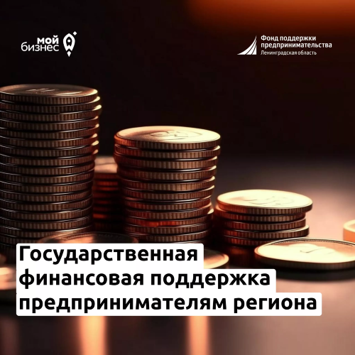 Центр «Мой Бизнес» Ленинградской области оказывает государственную финансовую поддержку предпринимателям региона