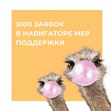 1000-ая заявка поступила в навигатор мер поддержки бизнеса!