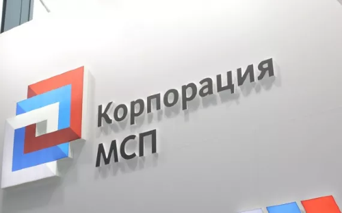 Компании-«газели» получат господдержку Корпорации МСП в 2024 году