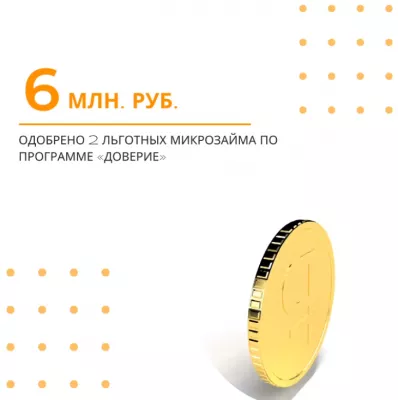 Микрофинансовая поддержка