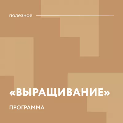 На заседании Региональной квалификационной комиссии рассмотрено 6 заявок на участие в программе "Выращивание"