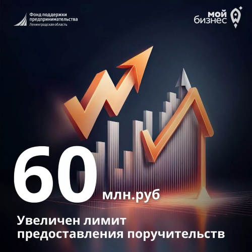 Увеличен лимит предоставления поручительств до 60 млн. рублей