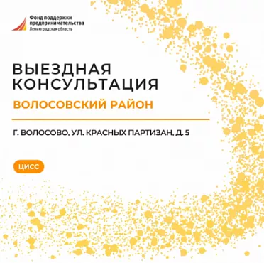 Центр инноваций социальной сферы проведет консультации для предпринимателей Волосовского района